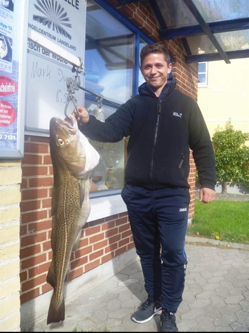 2018 Mark Juretko