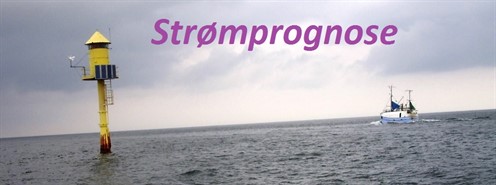 Stroemprognose